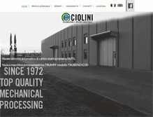 Tablet Screenshot of ciolinisrl.com